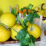 Lirma Отель типа 