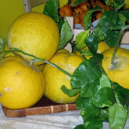 Bed & Breakfast Lirma Cefalù