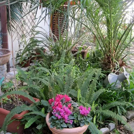 Bed & Breakfast Lirma
