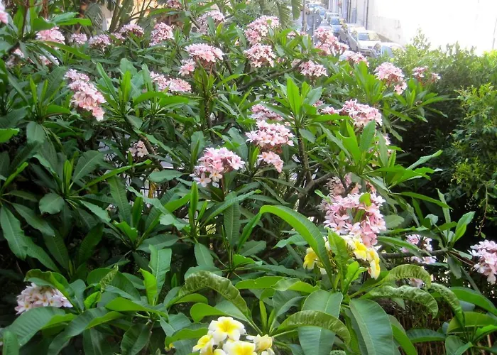 Lirma فندق مبيت وإفطار تْشيفالو