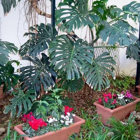 Готель типу 