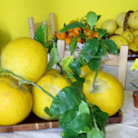 Lirma Готель типу 