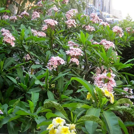 Lirma Bed & Breakfast Cefalu