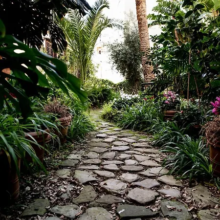 Bed & Breakfast Lirma 4*