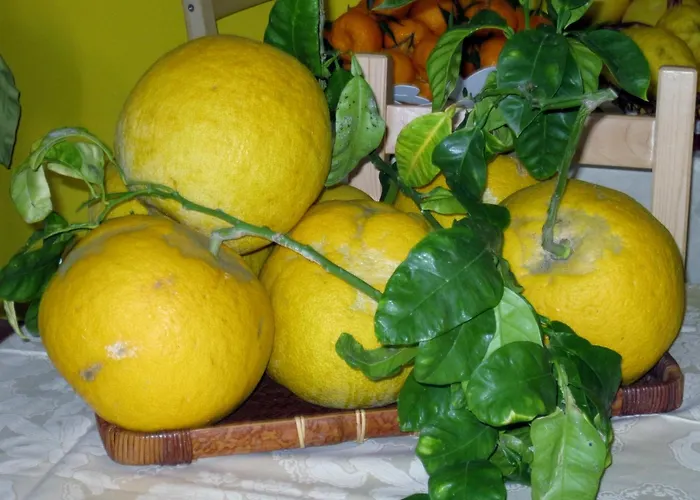 Panzió Lirma Cefalù