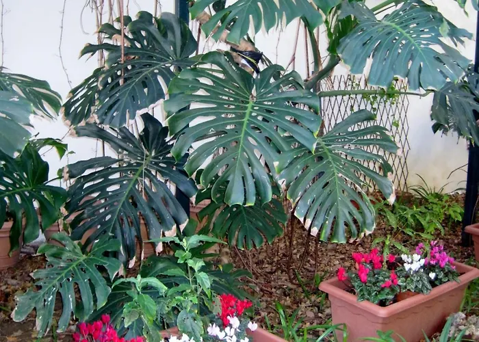 Bed & Breakfast Lirma