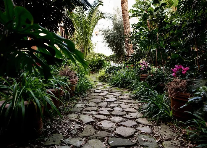 Bed & Breakfast Lirma 4*